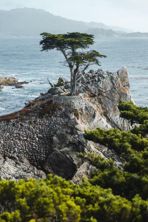 Sea View Inn - Carmel Exteriér fotografie